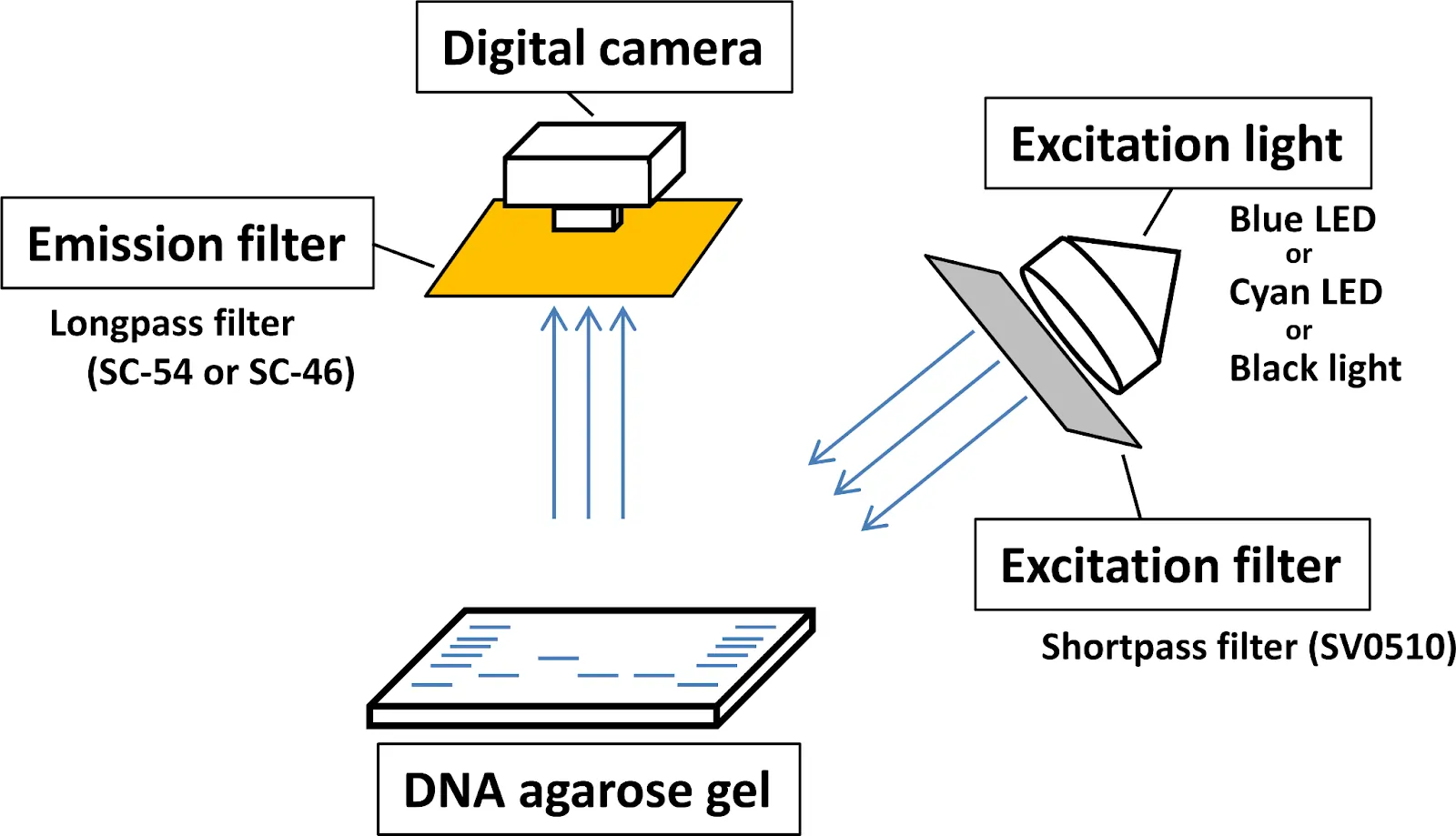 Outline diagram of Gel Documentation System